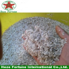China Puras híbridos 9501 paulownia sementes, sementes kiri para venda fabricante