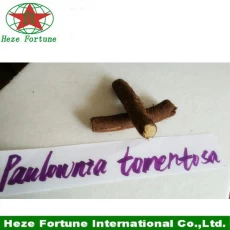 porcelana Royal Paulownia tomentosa cortar de raíz para la siembra fabricante