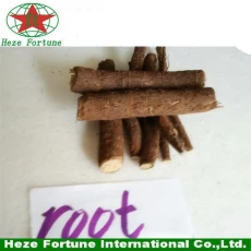 China The fastest growing hardwood tree paulownia root cutting on the planet manufacturer