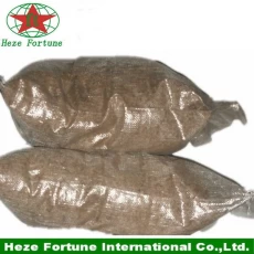 China Wholesale Paulownia 100% pure seeds, 99%survive root cuttings, root stump manufacturer