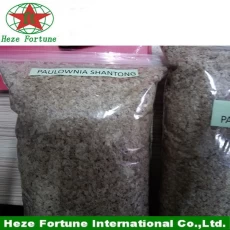Chine grade A + graines de paulownia paotong pour la plantation fabricant