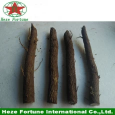Chine paulownia elongata racines coupant fabricant