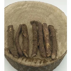 الصين paulownia seeds and roots for sale الصانع