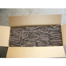 China wholesale cold resistant paulownia root cutting for plantation manufacturer