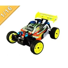 China Maßstab 1/16 4WD Nitro Power Off-Road Buggy TPGB-10285 Hersteller