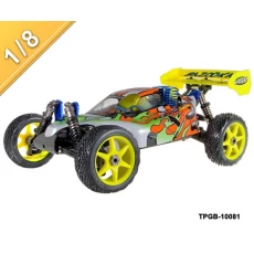 China 1/8 Nitro Power-Off-Road Buggy TPGB-10081 Hersteller