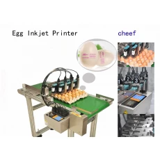 Китай Китай завод высокой скорости этикетки кодирования машины печати бар и код qr на яйцах производителя