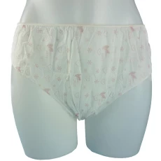 China Disposable undergarments spa manufacturer