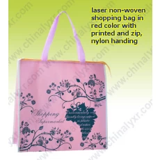 China Non woven Shopping Bags manufacturer