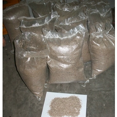 中国 2023新鮮なPaulownia Seeds Kiri Seeds販売 メーカー