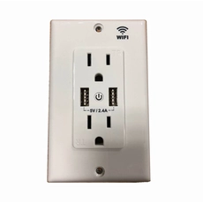 중국 미국 표준 amazon alexa wifi usb 월 플레이트 스마트 콘센트 소켓 커버 led 빛 제조업체