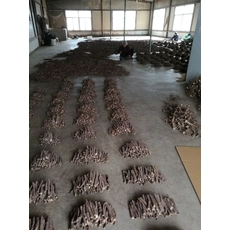 Китай Fresh new 2018 paulownia shantong hybrid 9501 root cutting cold resist for wood production производителя