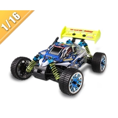 Китай 1/16 Scale нитро газе внедорожных багги TPGB-1675 производителя