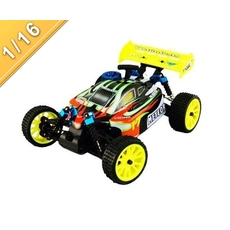 Chine 1/16 échelle puissance 4WD Nitro Off-Road Buggy TPGB-10285 fabricant