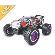 Китай 1/16 шкала нитро питания для бездорожья Truggy TPGT-1673 производителя