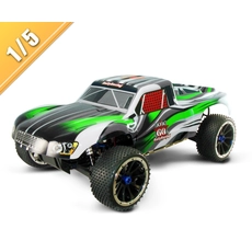 الصين 1/5 4WD 26CC البنزين رالي السيارات TPGR-0553 الصانع
