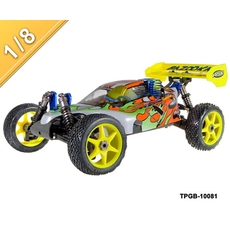 Chine 1/8 échelle Nitro Puissance buggy tout-terrain TPGB-10081 fabricant
