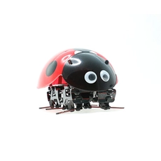 Chine 2.4 g robot coccinelle DIY        F10 fabricant
