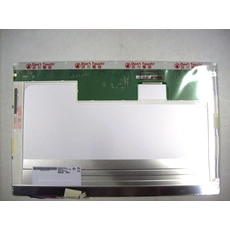 China 17.0 1920 * 1080 Glossy dicke 30 Pins Lvds B170UW02 V0-Laptop-Bildschirm Hersteller