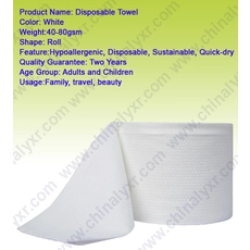 Chine Serviette jetable en coton fabricant