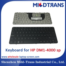 China SP Laptop Keyboard for HP DM1-4000 manufacturer