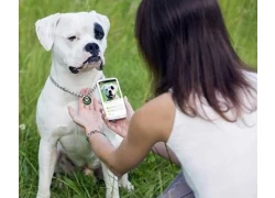중국 NFC 애완 동물 태그는 실종 애완 동물 정보를 디지털화하여 구조 속도를 높입니다. 제조업체