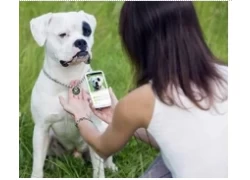China NFC pet tags digitize missing pet information to speed rescue manufacturer