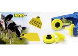 China How To do RFID Animal Tracking Effect On Animals Management manufacturer