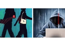 Chine Solution de conception innovante combat le vol d'identité RFID fabricant