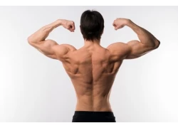 porcelana Hay 4 razones por las que los hombres deben practicar el entrenamiento de espalda. ¡Después de leer esto, nadie se quedará sin querer practicarlo! fabricante