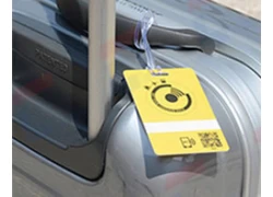 Chine Tagages de bagages en plastique professionnels fabricants fabricant