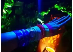 Chine Zoo de Singapour : les bracelets RFID peuvent déclencher différentes images d'animaux fabricant