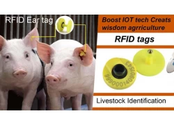 porcelana ¿Conoces la función de las etiquetas de oreja de animal RFID fabricante