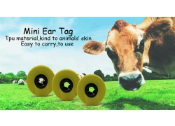 China UHF RFID ear tag with small size and long reading distance manufacturer
