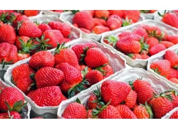 China Japanese strawberry factory has adopted RFID sensor tag temperature control system manufacturer