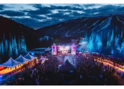 China RFID Wistbands at Snowbombing Festival in Austie manufacturer