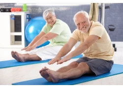 China 8 Best Equipment-Free Strength Exercises For Older Adults manufacturer