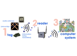 Tsina Hinaharang ang mga RFID Reader sa Pagbabasa ng Iyong ID Card Manufacturer