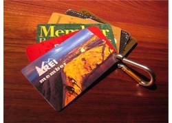 Tsina Ano ang Dual Frequency Key Ring Card (13.56MHz&125KHz) Manufacturer