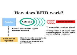 Tsina Paano Gumagana ang RFID? Paggalugad sa Teknolohiya sa Likod ng Wireless Data Transmission Manufacturer