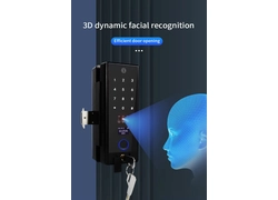 China 3D-Gesichtserkennung, Glastür, digitales Schloss, Fingerabdruck, Passwort, Karte, Büro-Smart-Schloss – China Factory Direct Hersteller