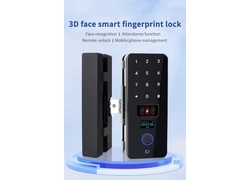 China China Factory 3D-Gesichtserkennung Tuya Remote Smart Lock Fingerabdruck-Passwortkarte für Laden- und Büroglastüren Hersteller