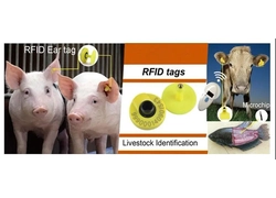 China Use of RFID ear tags to implement African swine fever prevention and control manufacturer