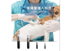China Do you want to inject RFID microchips into your pet? manufacturer