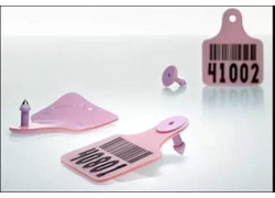 China RFID and blockchain provide digital records of the health of Zimbabwe's cattle manufacturer