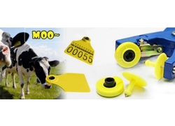 China How To do RFID Animal Tracking Effect On Animals Management manufacturer