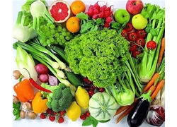 China RFID Vegetable Supply Chain Creates Green and Healthy Life manufacturer
