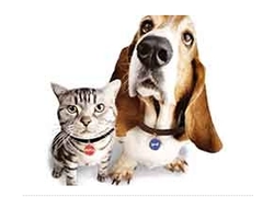 China NFC Tag Pet Electronic ID To Help Retrieve Lost Pets manufacturer