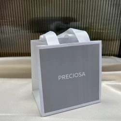 China customized size bag for one box packaging manufacturer
