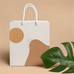China colorful pattern printing shopping paper bag with rope handle manufacturer